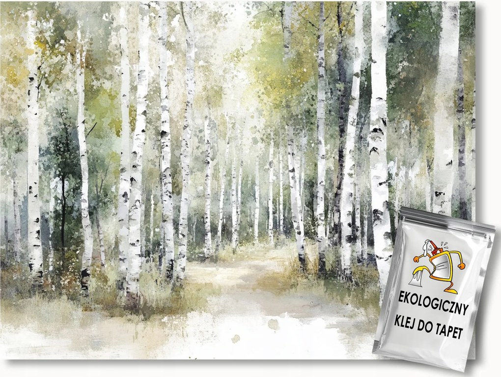 Fotótapéta Flizelina Tájkép Erdő Nyírfák Ösvény 350x250 ragasztó