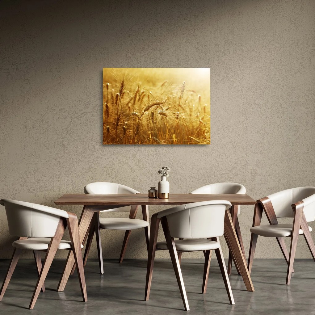 Kép - Gabonafül (üvegen) (70x50 cm)