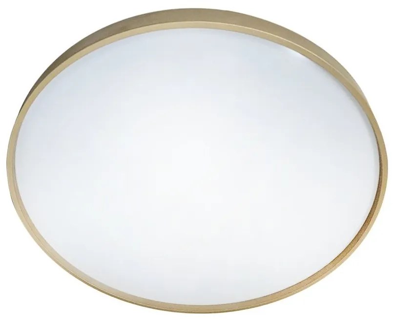 LED Dimmelhető mennyezeti lámpa DRINA LED/36W/230V 2700-6500K  + távirányító