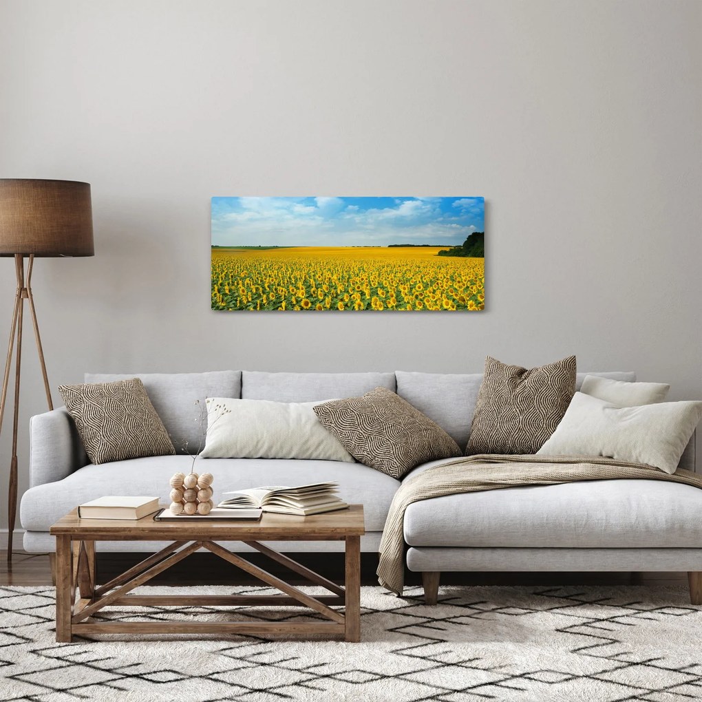 Kép - napraforgó (120x50 cm)