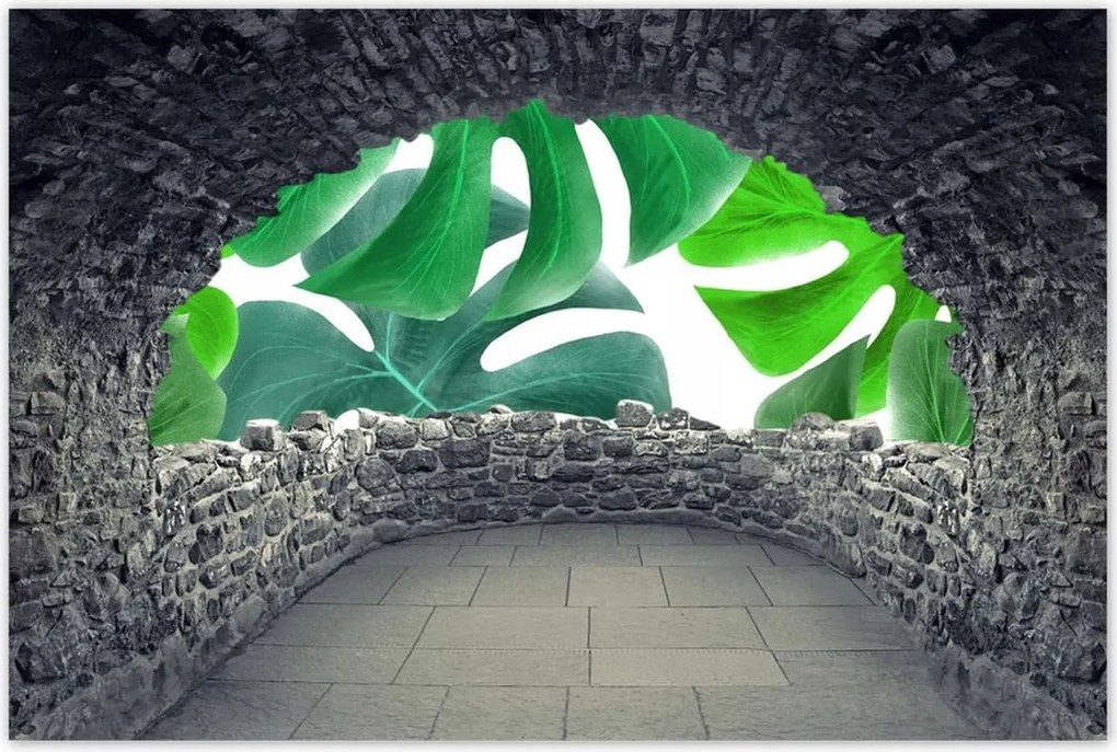 Poszter 60x40 Levelek Monstery Trópusok