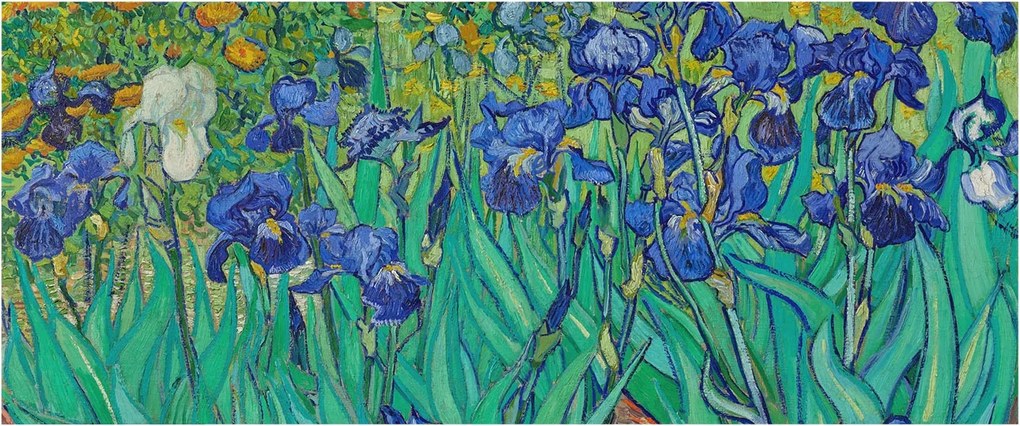 Fotótapéta Flizelin Dekoratív az irodába Kerti virágok 250x104 Ragasztó