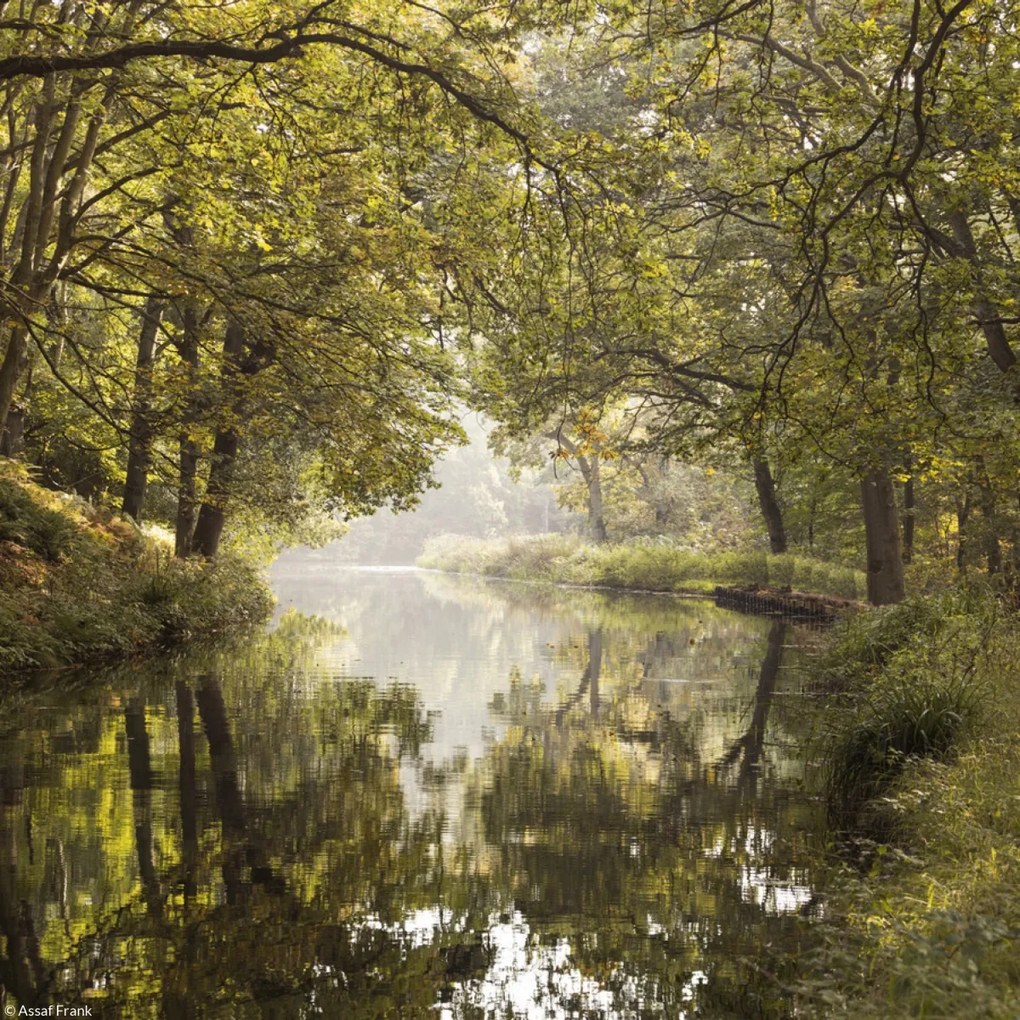 Poszter 20x20cm Basingstoke csatorna 2, Assaf Frank