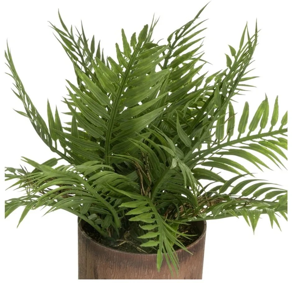 Műnövény szett 2 db-os (magasság 22 cm) – Casa Selección