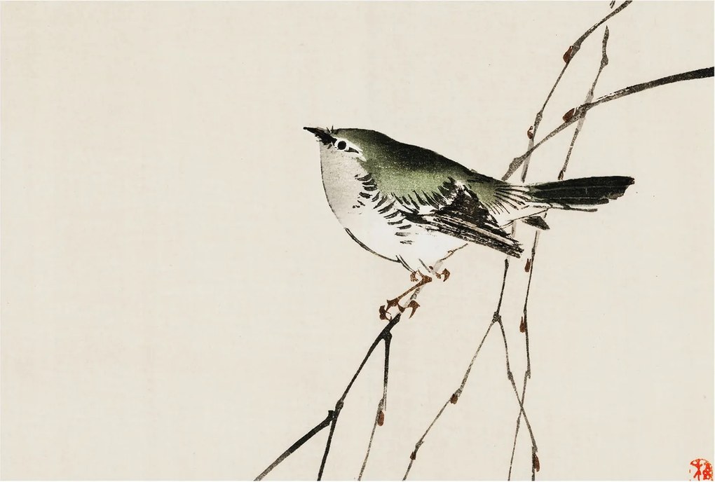 Flizelin tapéta Flizelin falikép Prémium Harmonikus madár 104x70