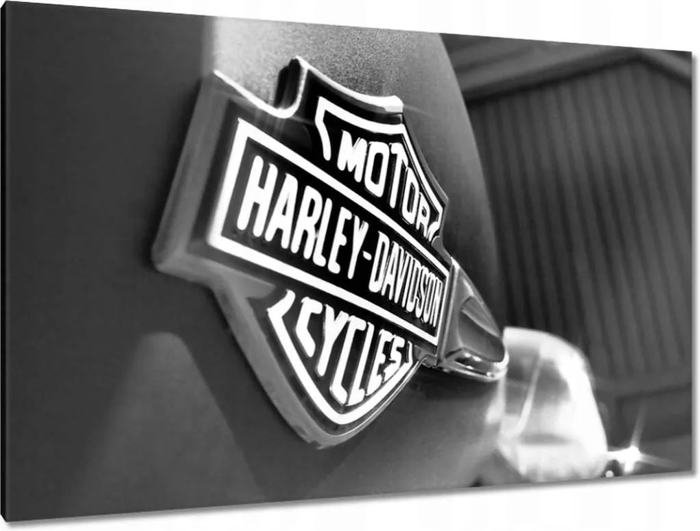 Festmények 120x80 Harley Davidson logó