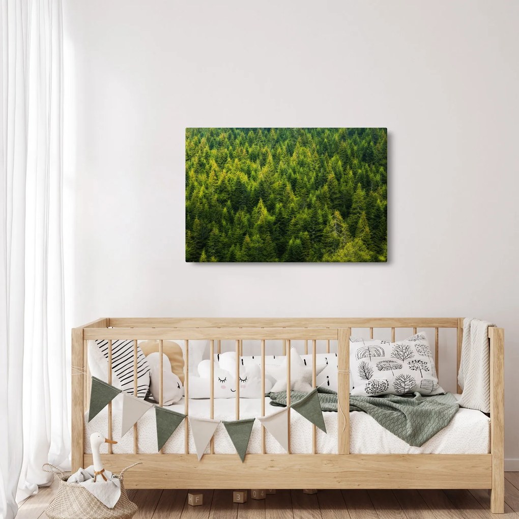 Kép - sűrű erdő (90x60 cm)