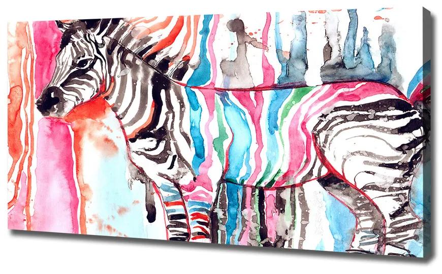 Vászonkép nyomtatás Színes zebra pl-oc-120x60-f-87232366