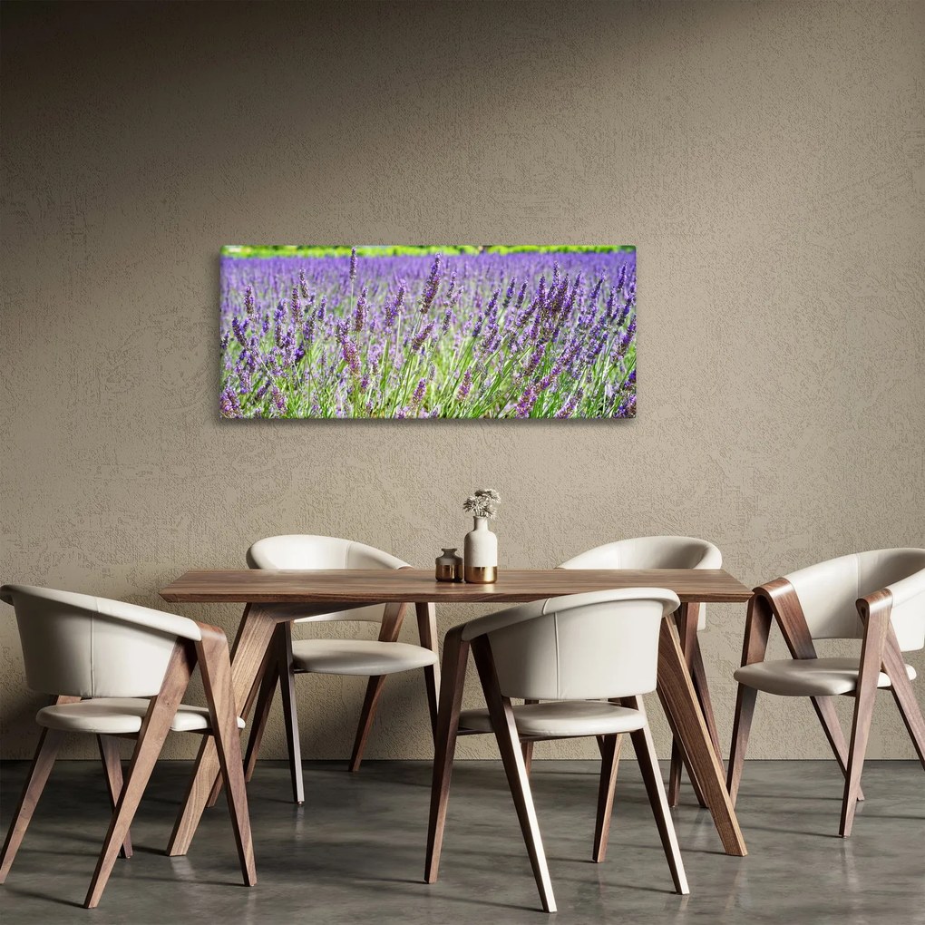 Egy mező képe a levendulával (120x50 cm)