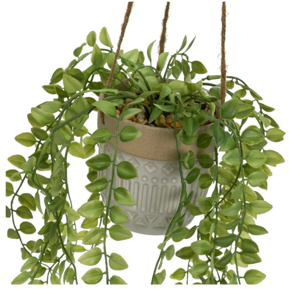Műnövény (magasság 34 cm) – Casa Selección