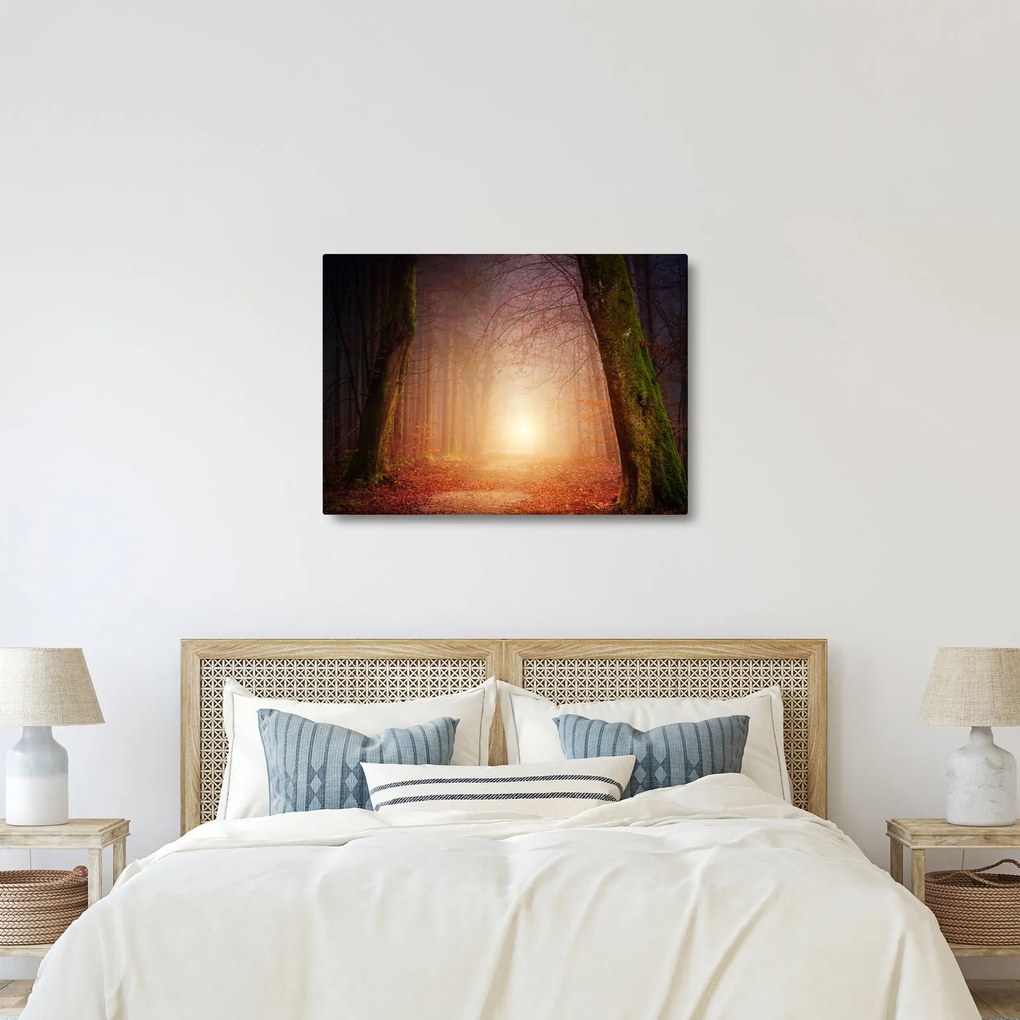 Őszi erdő képe a ködben (70x50 cm)