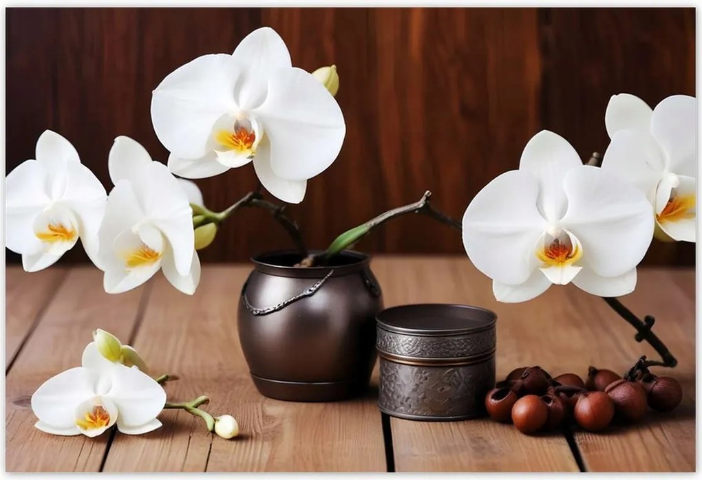 Poszterek 200x135 Fehér orchideák