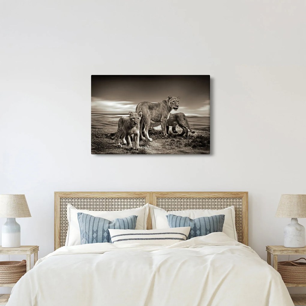 Fekete fehér tigris képe (90x60 cm)