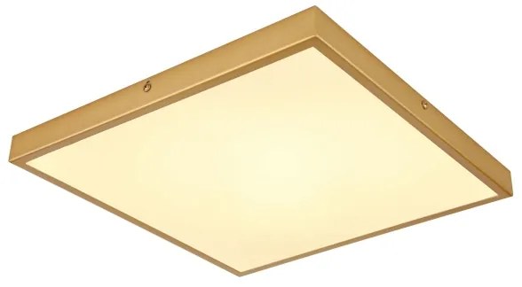 Globo 12382-22 - LED Mennyezeti lámpa TIBEY LED/22W/230V 35x35 cm