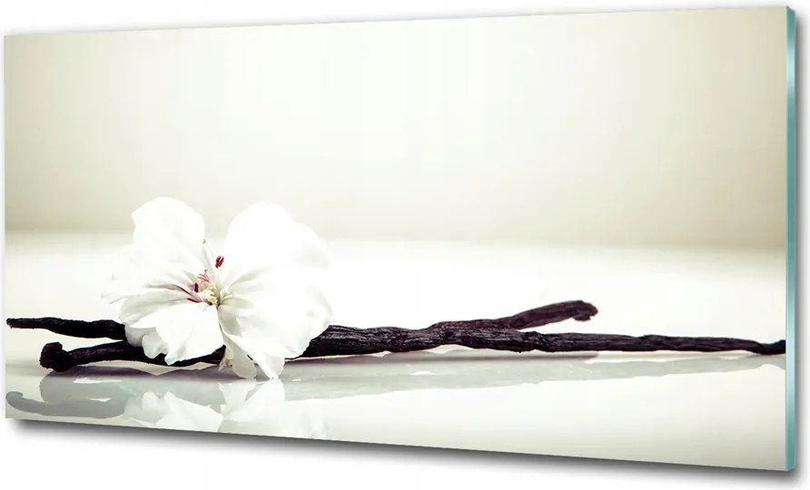 Fotó vászonkép edzett üveg Nyírfa 100x70