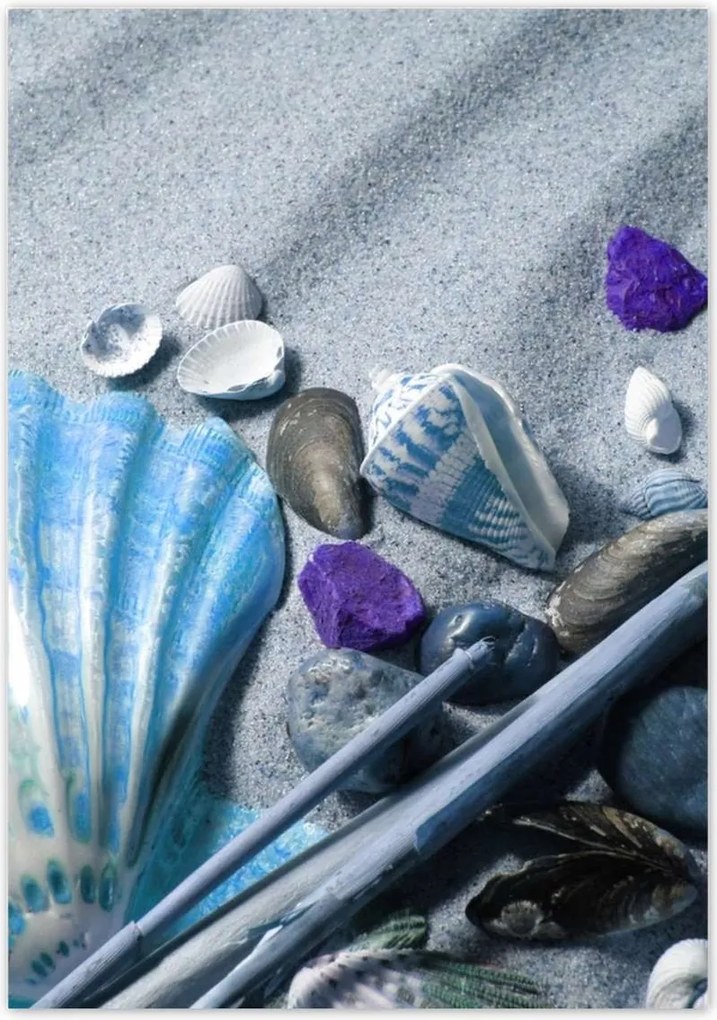 Poszterek 70x100 Kompozíció kagylóval