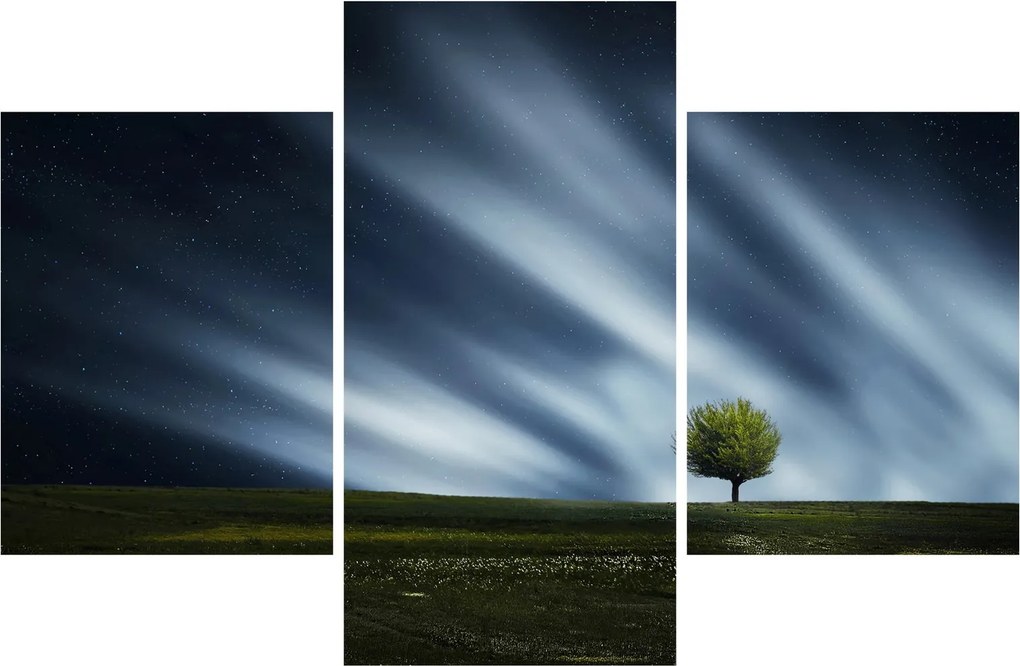 Az aurora borealis képe egy lápvidéken (90x60 cm)