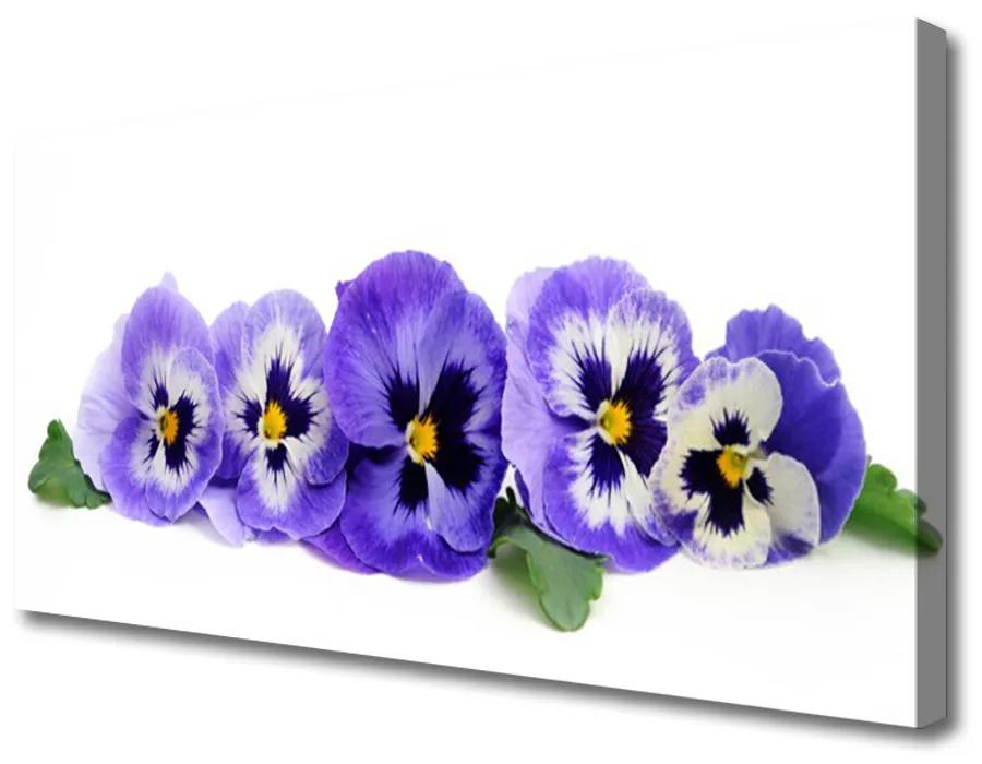 Vászonfotó Virágszirmok Pansies 100x50 cm