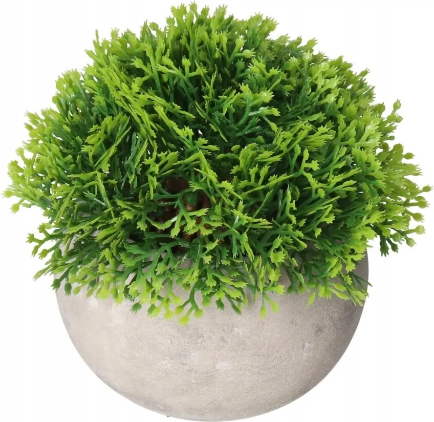 Virágok Egy Cserépben Mesterséges Virágok Növények Pozsgások