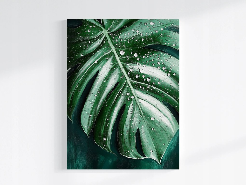 Poszter Természet Levél Monster Filodendron Víz Harmat 60x80