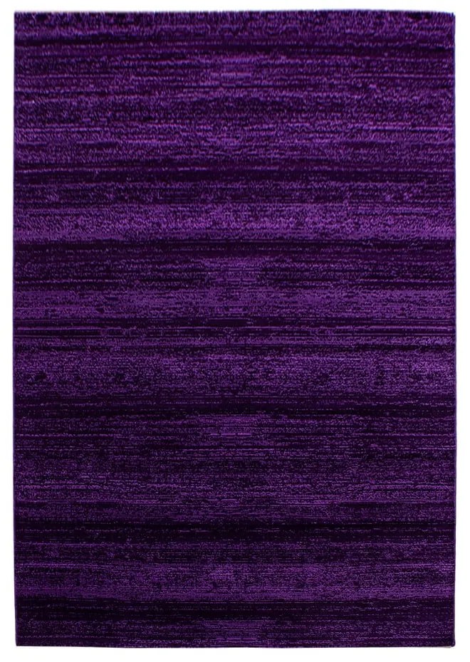 Sötétlila szőnyeg 140x200 cm Plus – Ayyildiz Carpets