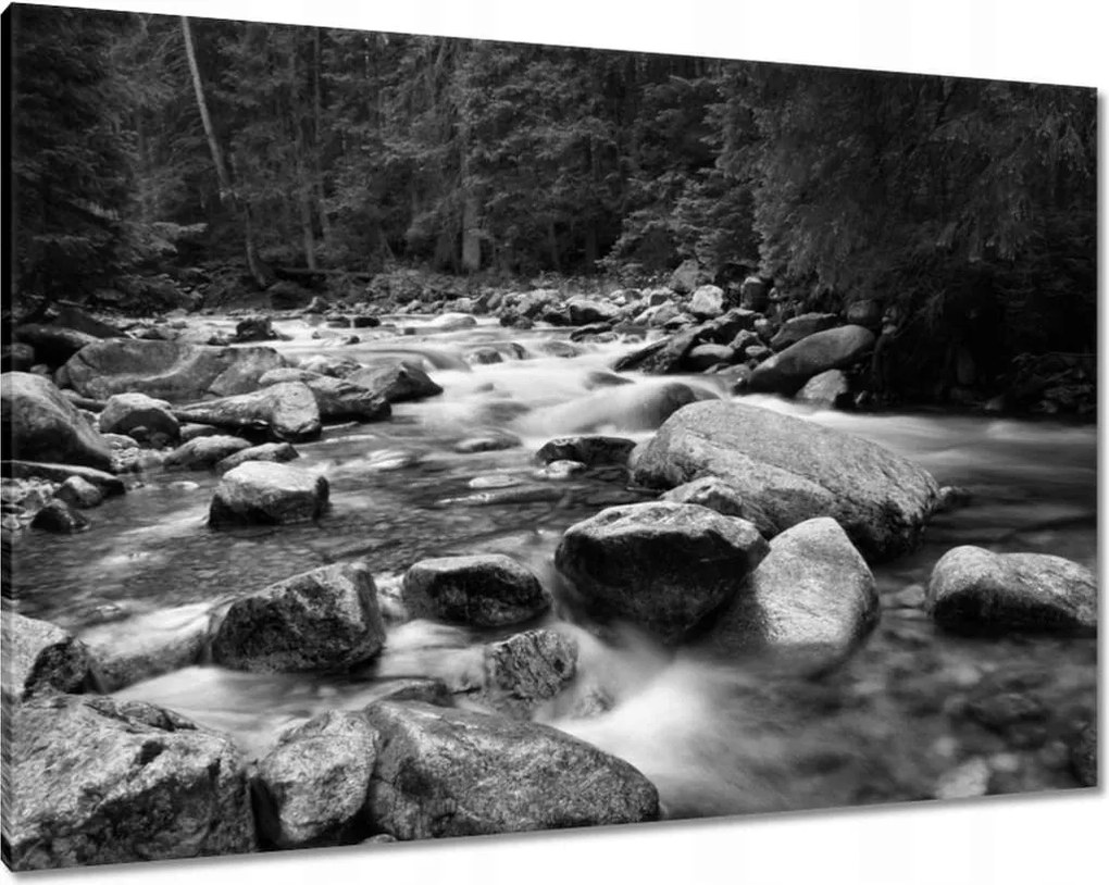 Képek 100x70 Tátra Lengyel hegyek Kilátás