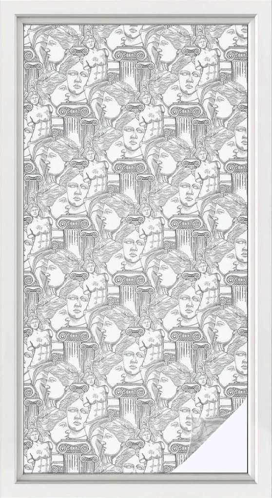 Tejfólia Ablak Védelem és Adatvédelem Klasszikus portrék 50x100