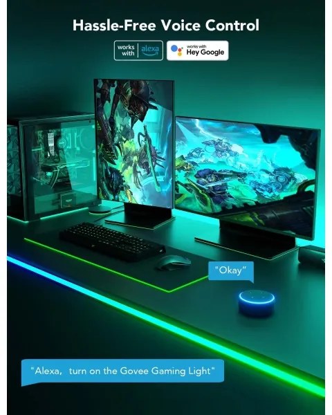 Govee - Neon LED asztali háttérvilágítás 3m RGBIC Wi-Fi