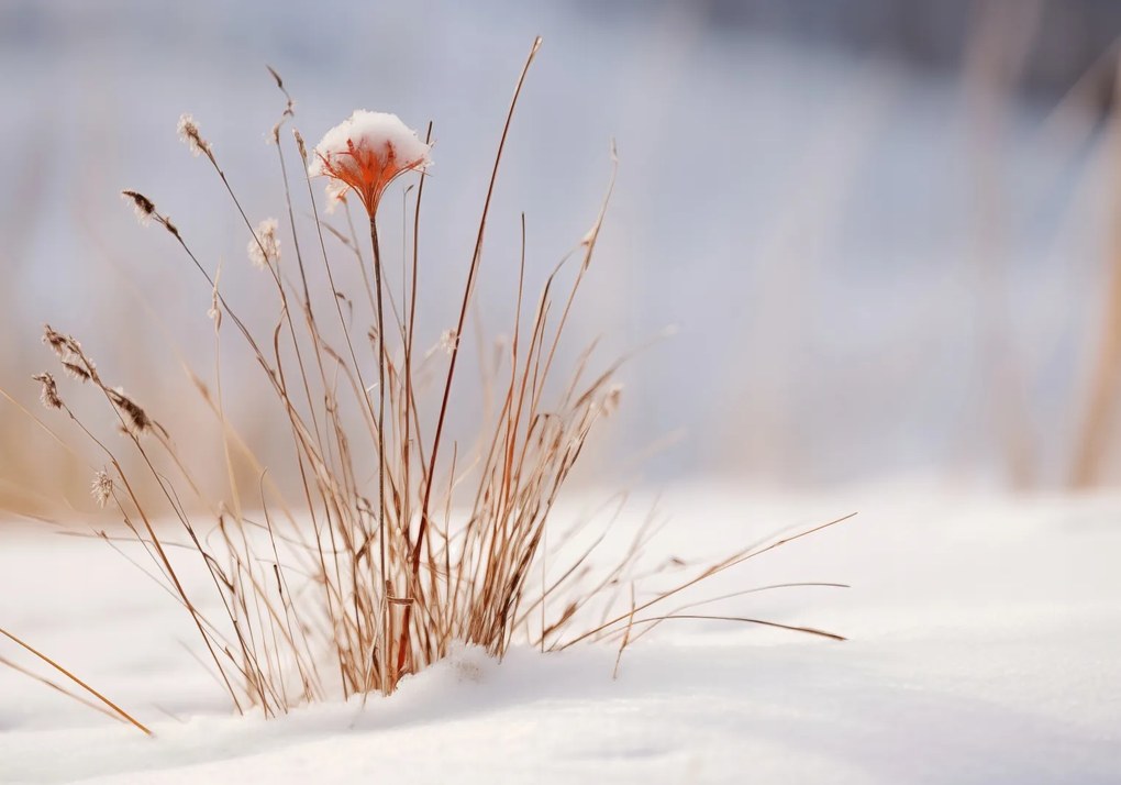 Poszter 66,5x46,5cm Tél a részletekben