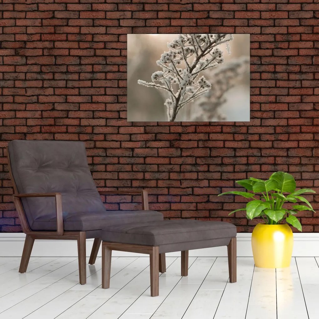 Kép - Növény fagyban (70x50 cm)