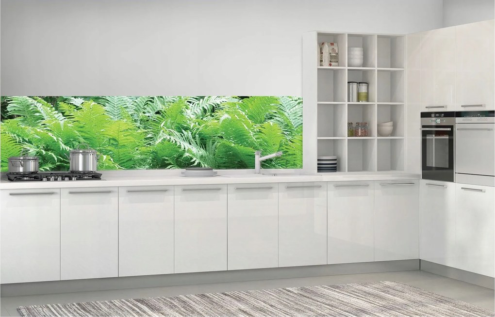 Fotótapéta Erdei páfrány zöld természet nyugalom és frissesség 250x60 +ragasztó