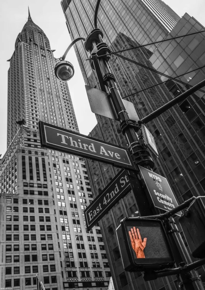 Poszter 29,7x42cm Utcatáblák és Chrysler Building New Yorkban, Assaf Fr