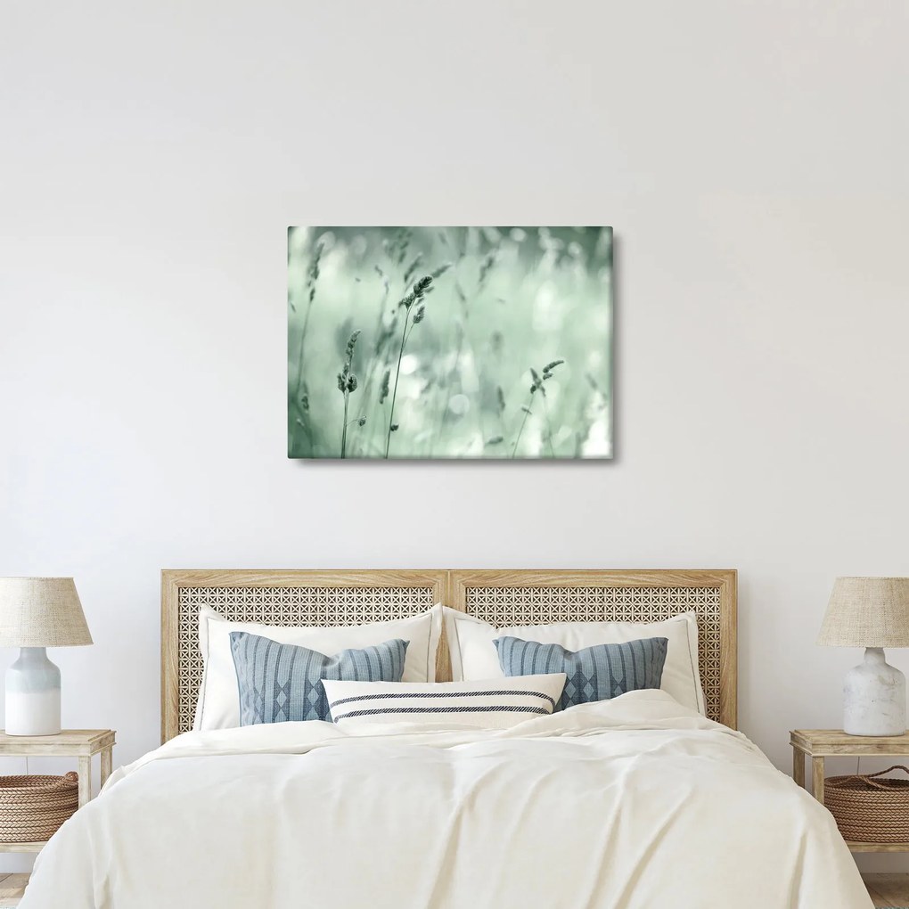 Kép - Zöld rét (70x50 cm)