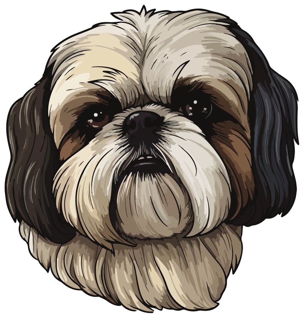 PIPPER. Matrica Shih Tzu Méret: 60cm