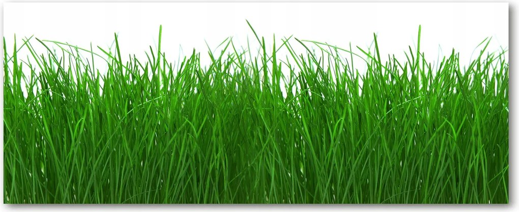 Edzett üveg panel a szekrények között Fű XXL