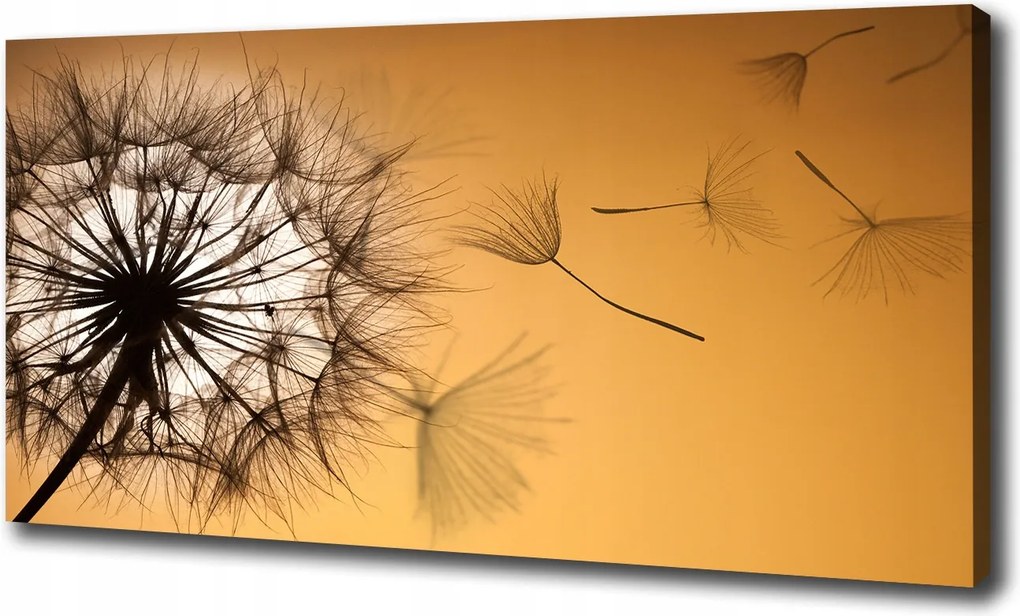 Canvas falikép Pitypang 120x60 cm