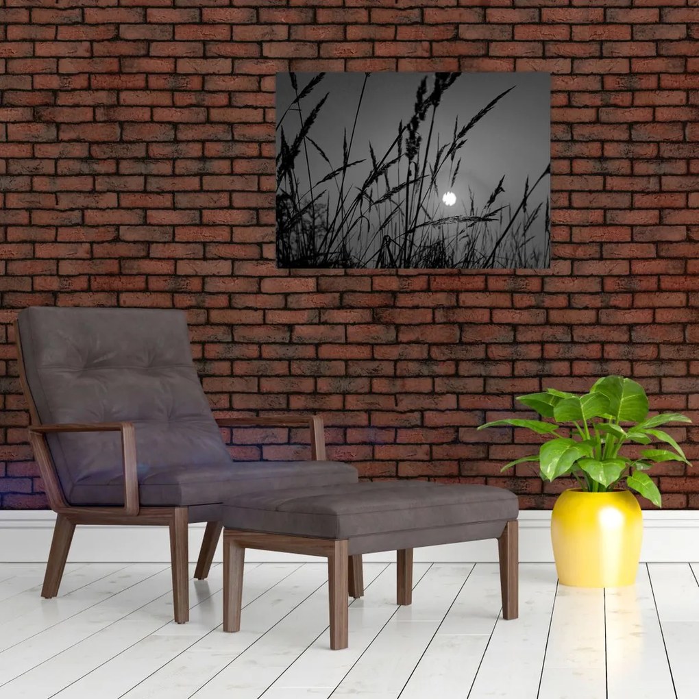 Kép - rét naplementével (70x50 cm)