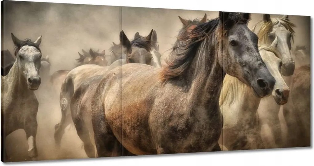 Vászonkép 60x30 Ló Lovak Lovaglás