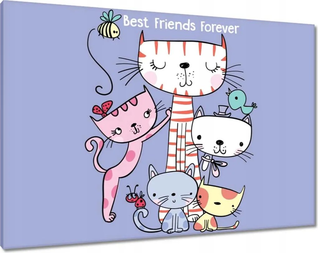 Vászonkép 100x70 Cica Cicák Macskák