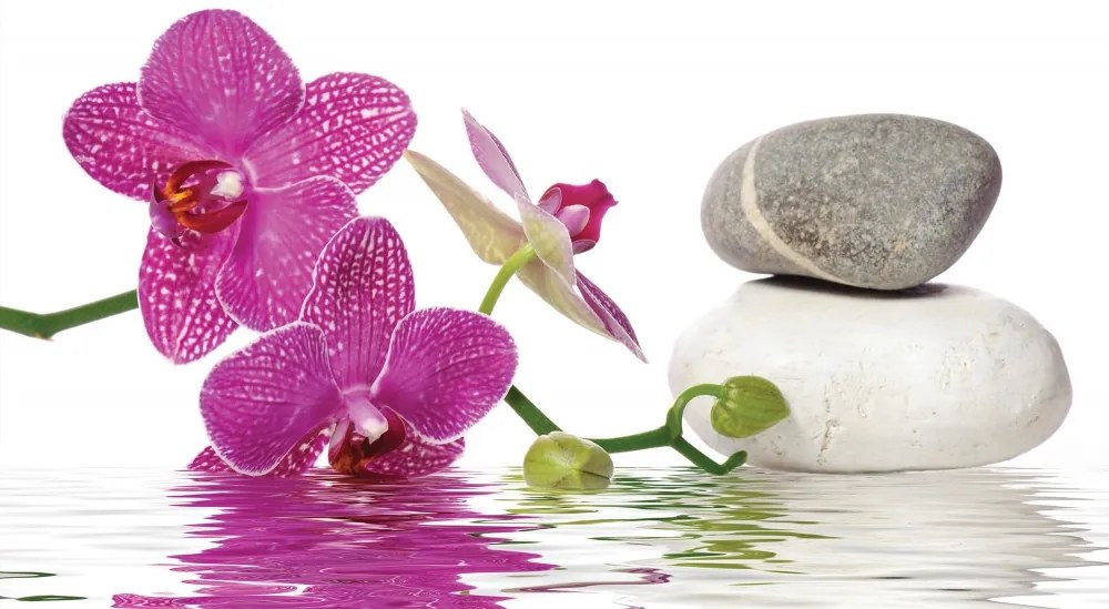 Orchidea poszter, fotótapéta, Vlies (104 x 70,5 cm)