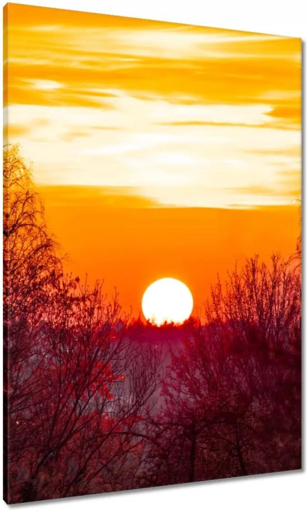 Festmények 70x100 Kilátás Tájkép