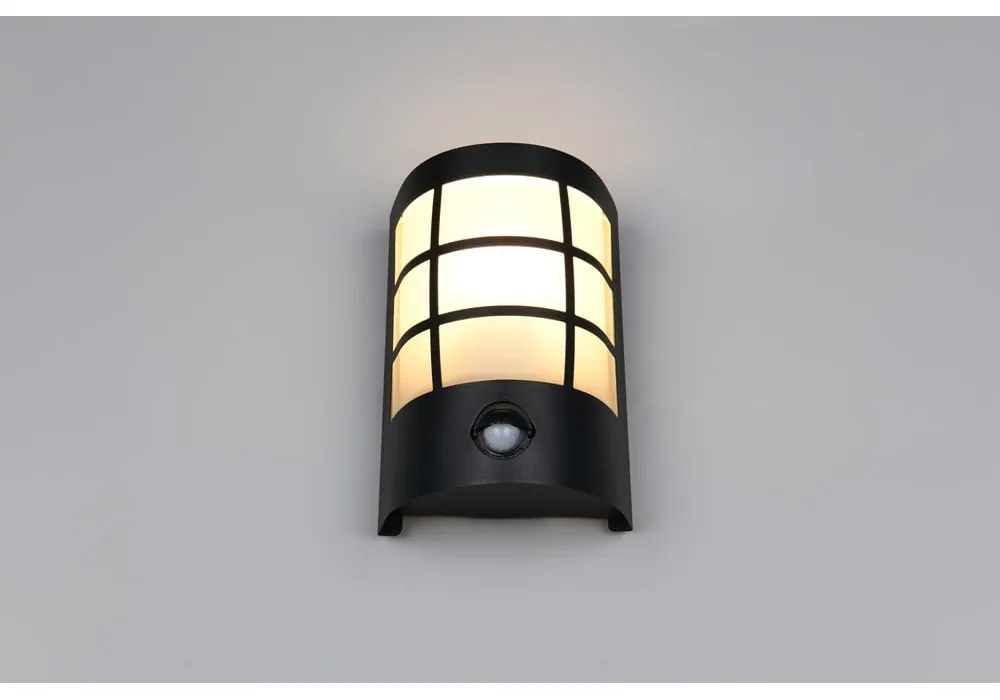 Fali kültéri lámpa (magasság 20 cm) Sintra – Trio