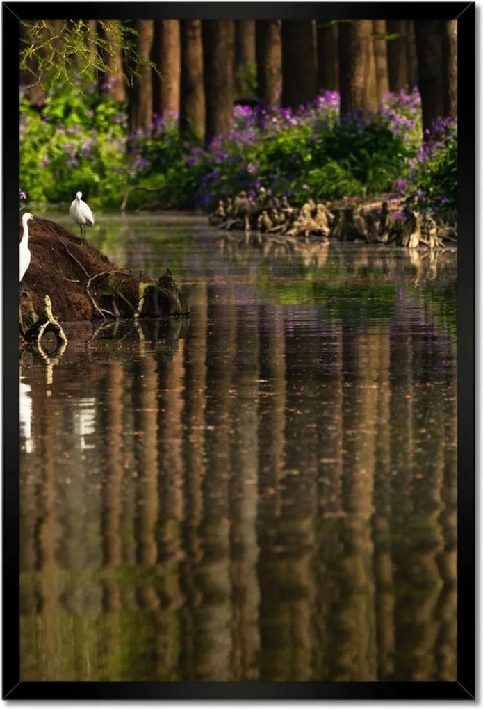 Poszterek keretben 40x60 Tájkép Látvány