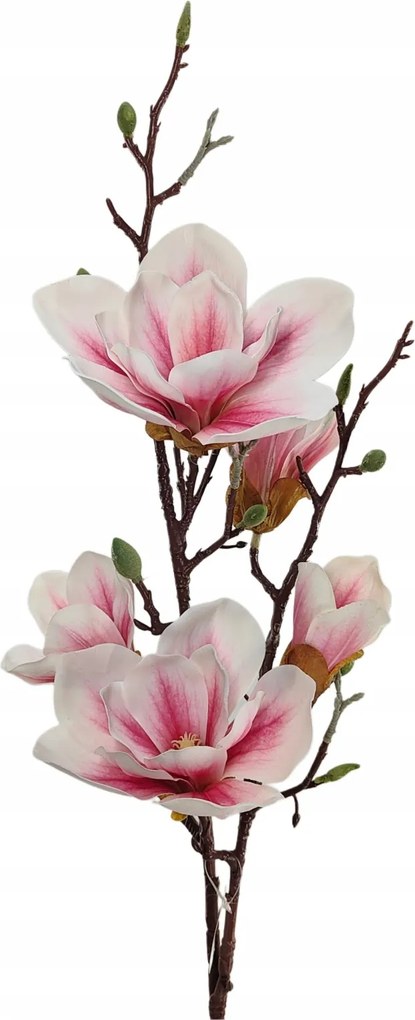 Magnólia ág gumi fehér rózsaszín közép (sp)