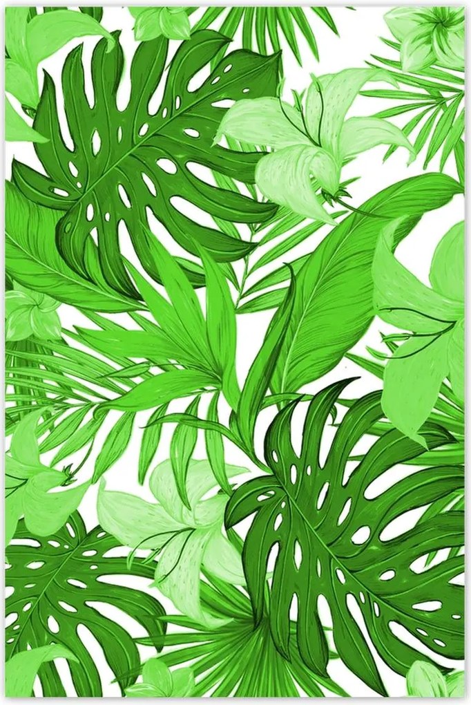 Poszterek 80x120 Leaves Monstera New look
