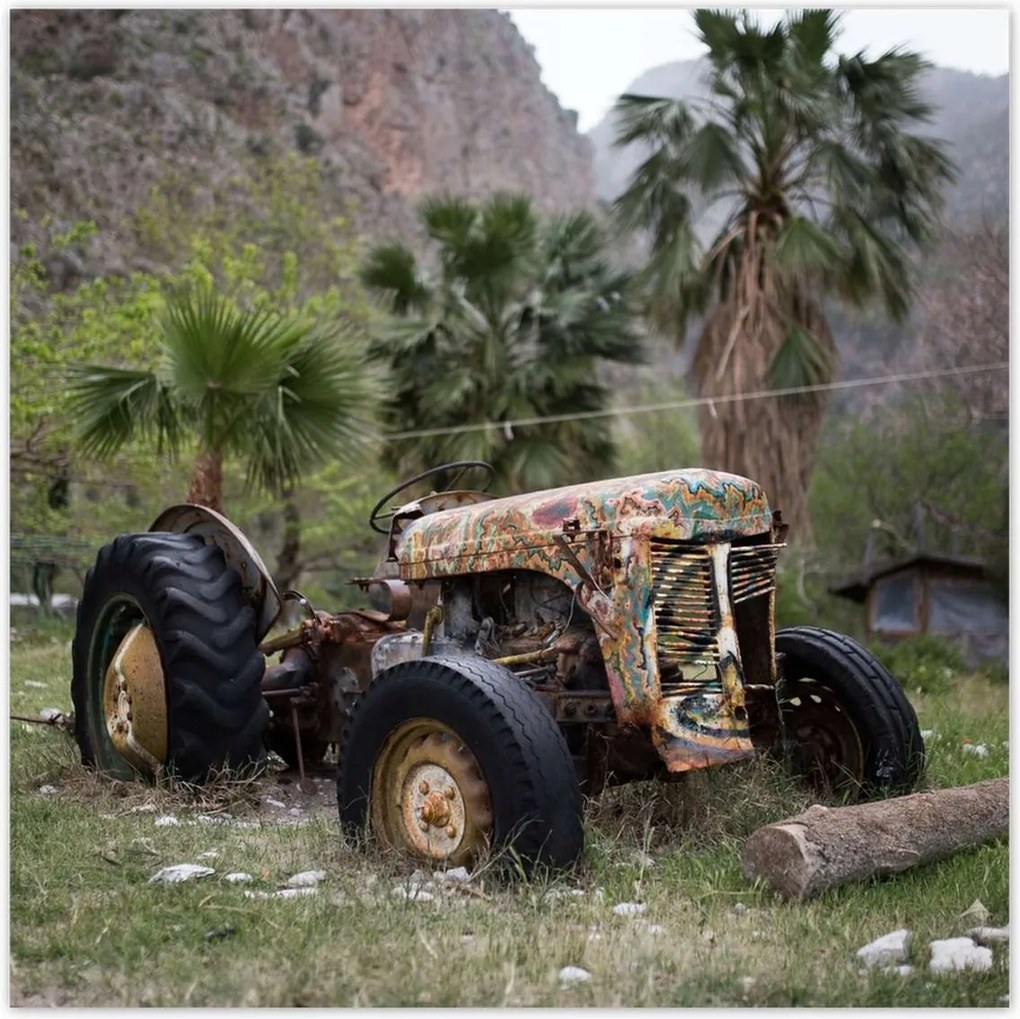 Poszterek 70x70 Régi traktor a mezőn