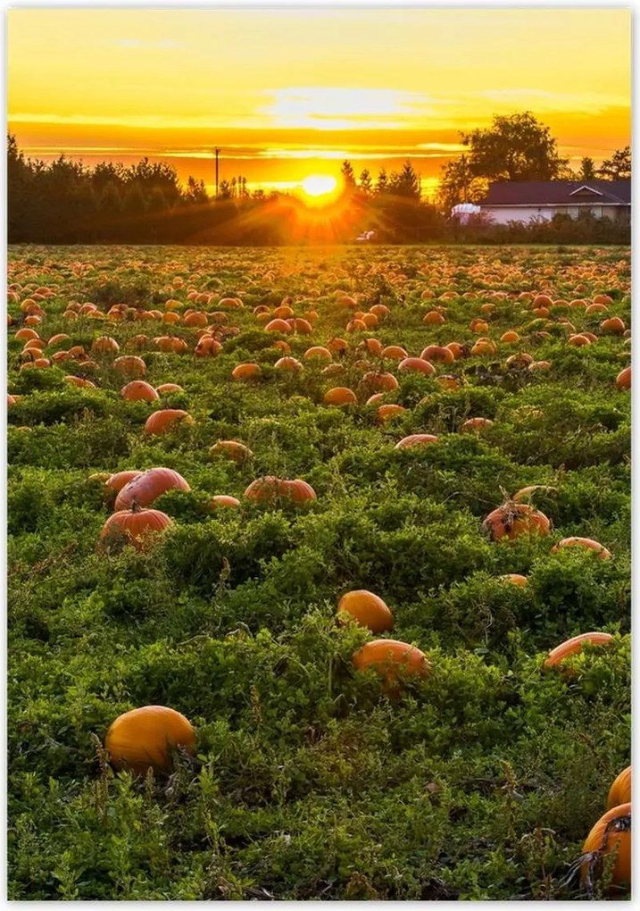 Poszterek 70x100 Tájkép Látvány