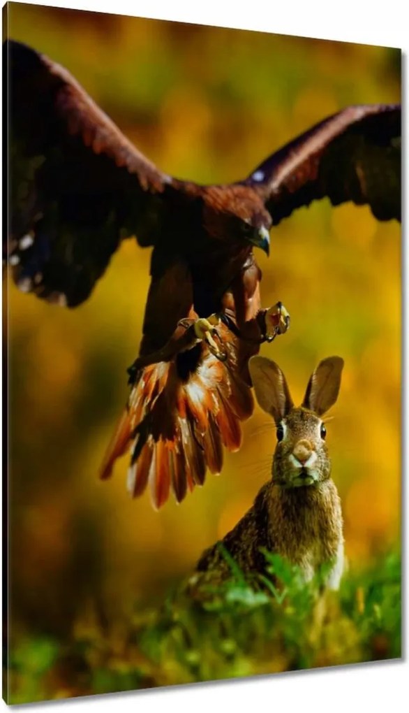 Vászonkép 80x120 Állatok