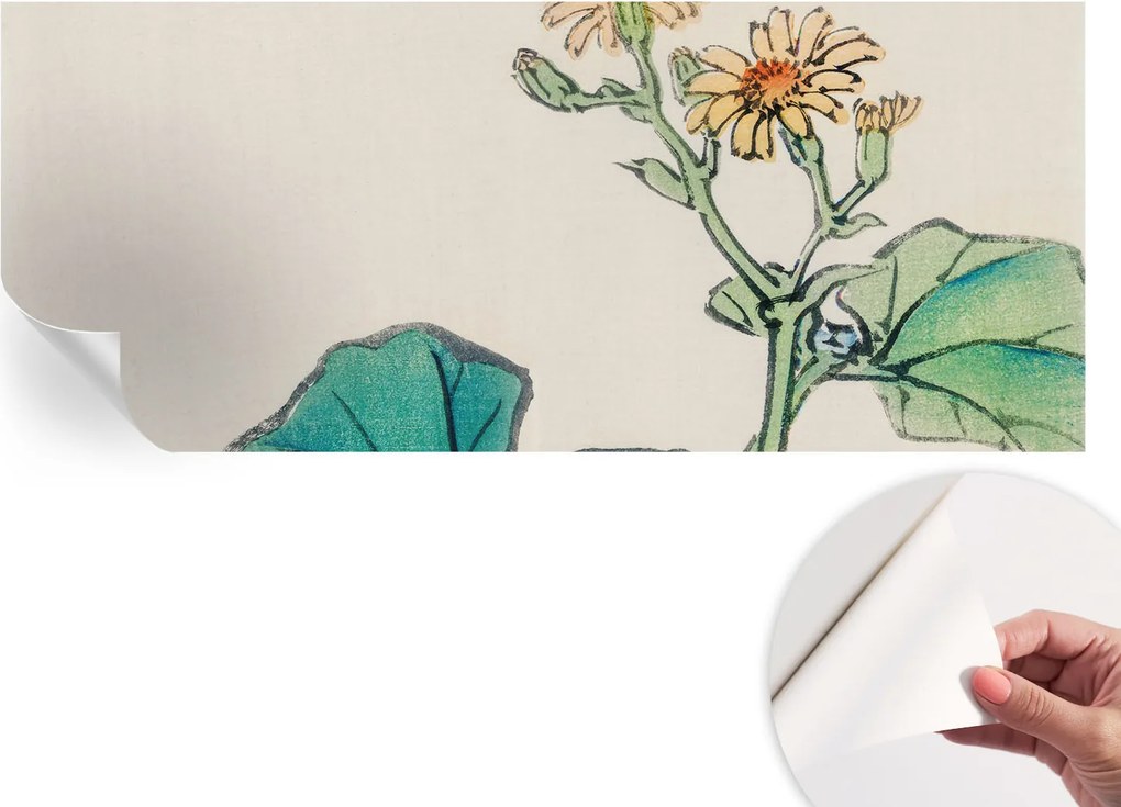 Modern öntapadós fotótapéta Falra Virág és levelek 250x104 cm