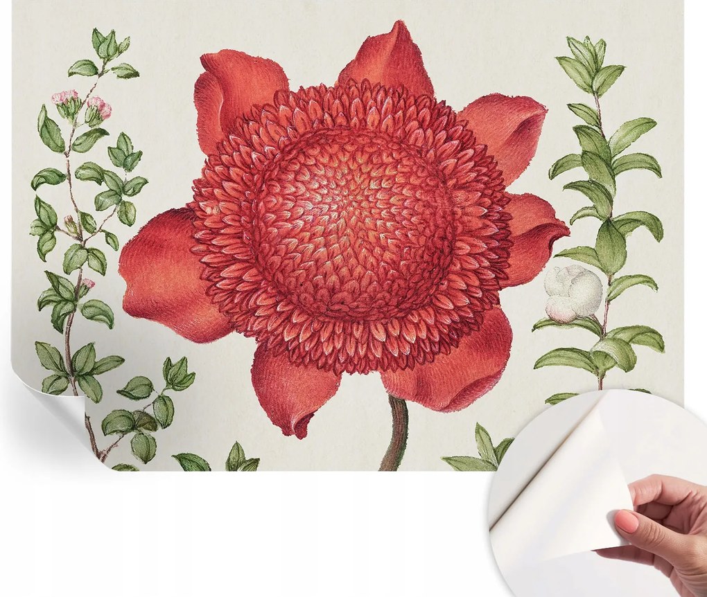 Matt öntapadós fotótapéta Falra Virágos elegancia 208x146 cm